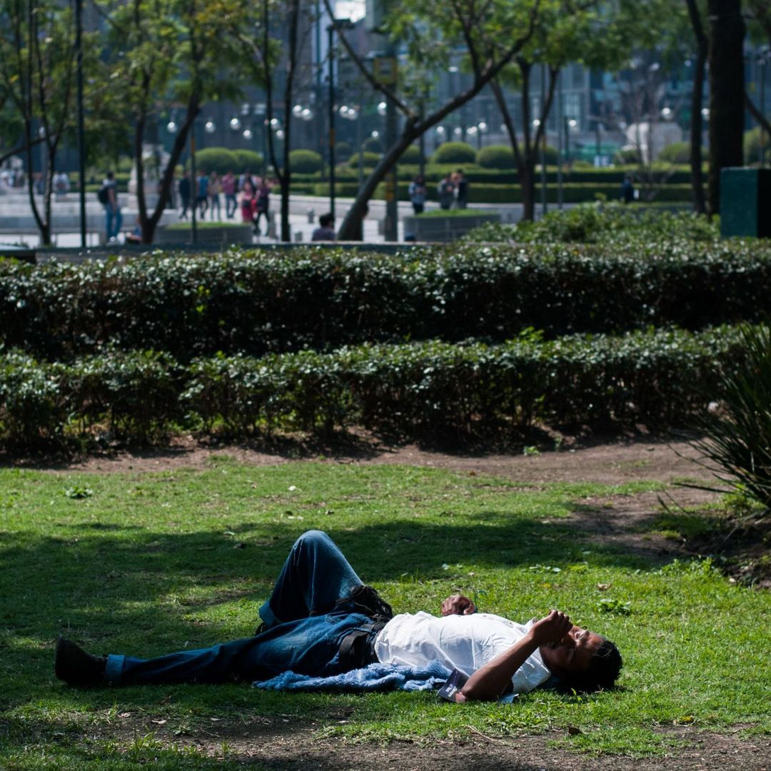 La OMS recomendó cuándo usar ventiladores en calor.